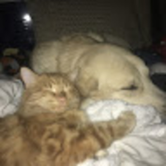 Meet your Posher, Jc329 - Picture 1 of 1